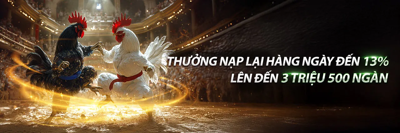 Hỗ trợ khách hàng 24/7 trên ứng dụng
